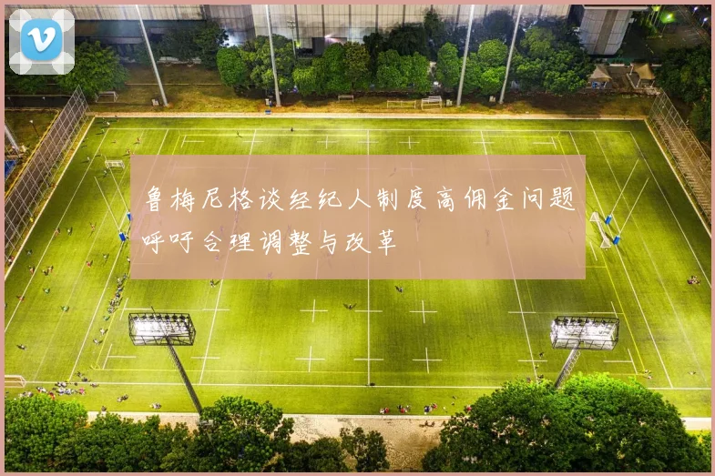 鲁梅尼格谈经纪人制度高佣金问题呼吁合理调整与改革
